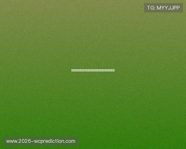 网易体育网站登录入口详细指南帮助用户顺利进入账号管理页面